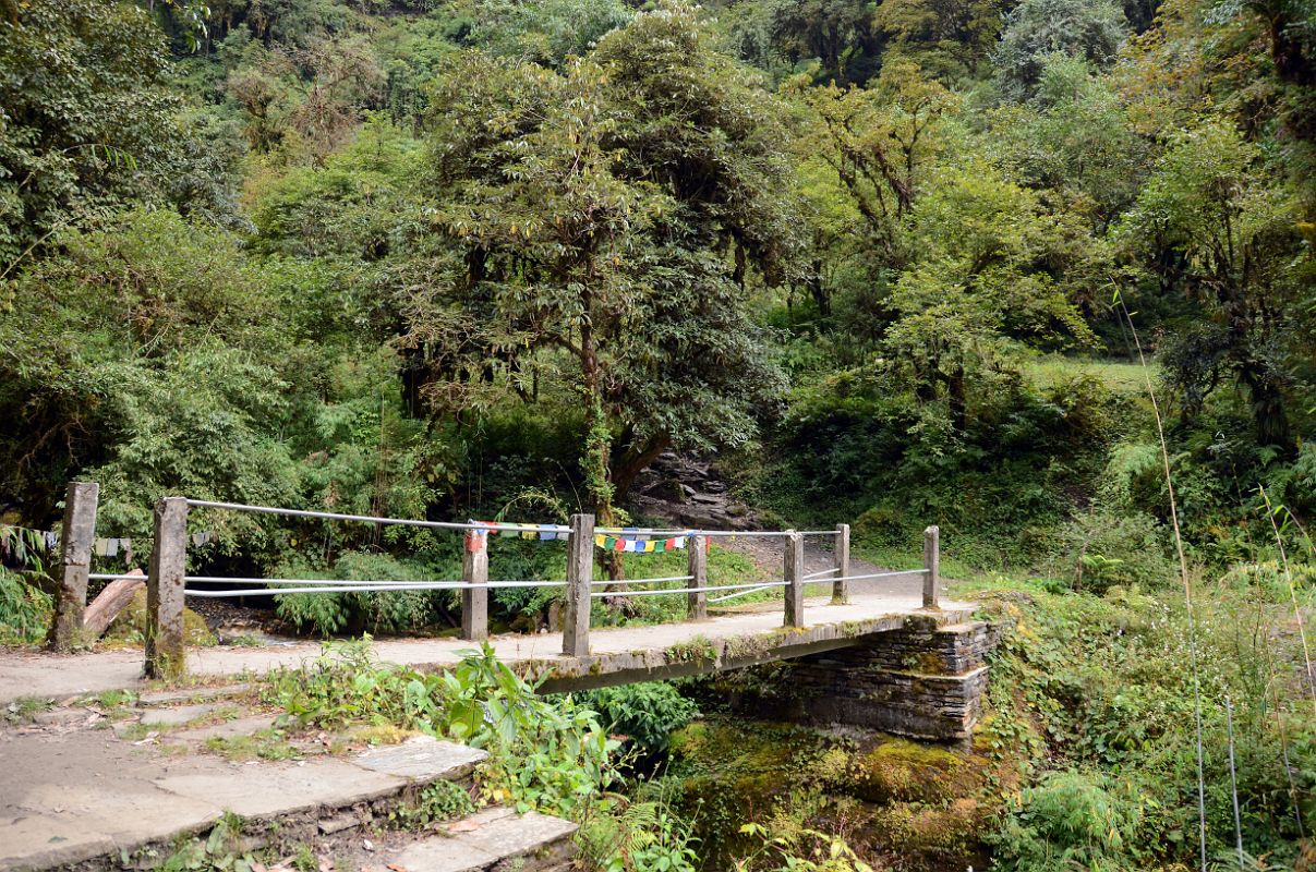 10 Crossing A Small Bridge To Begin The Final Climb To Tadapani On The Way From Ghorepani To Chomrong 